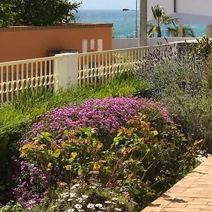 https://esti-chamaco-lagos.hotelaalgarve.com
